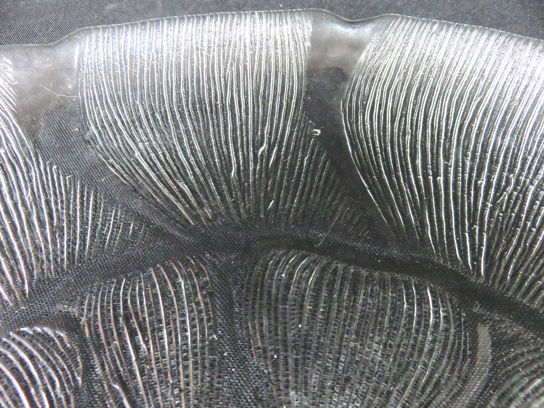 Arcoroc Platter