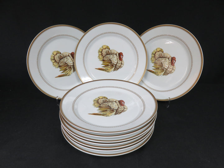 Williams Sonoma Dinner Plates