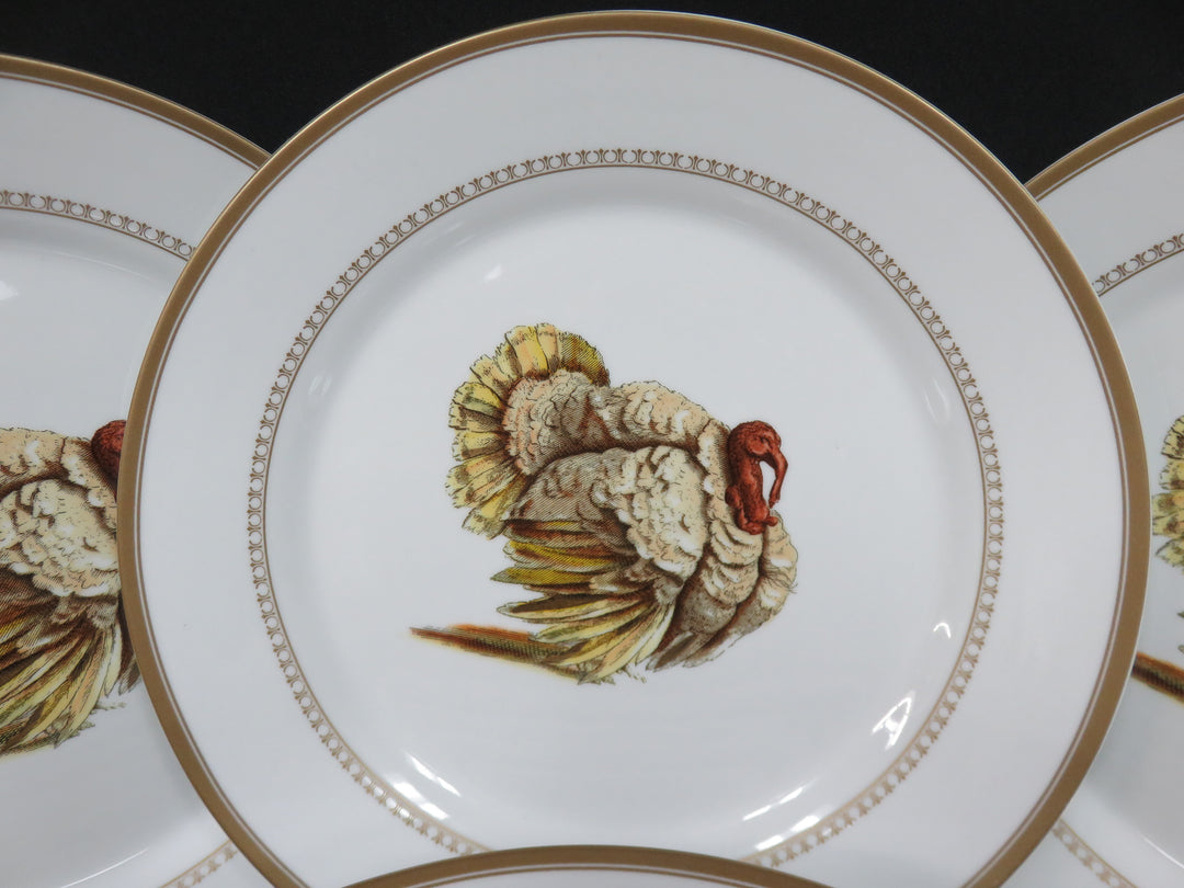 Williams Sonoma Dinner Plates