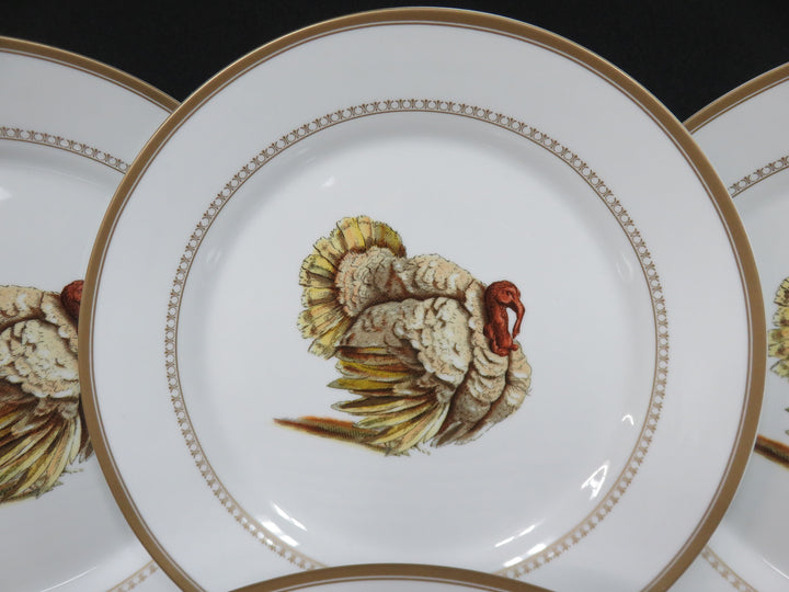 Williams Sonoma Dinner Plates
