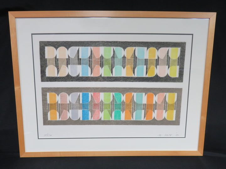 Colorful Abstract Print