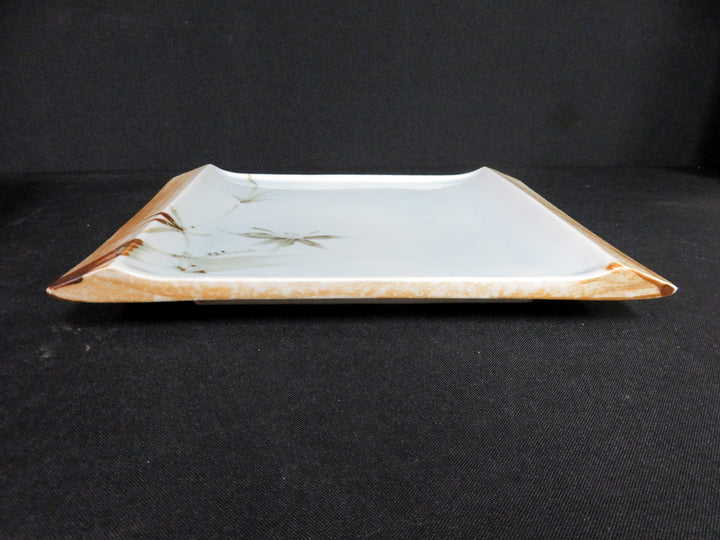 Square Sushi Plates