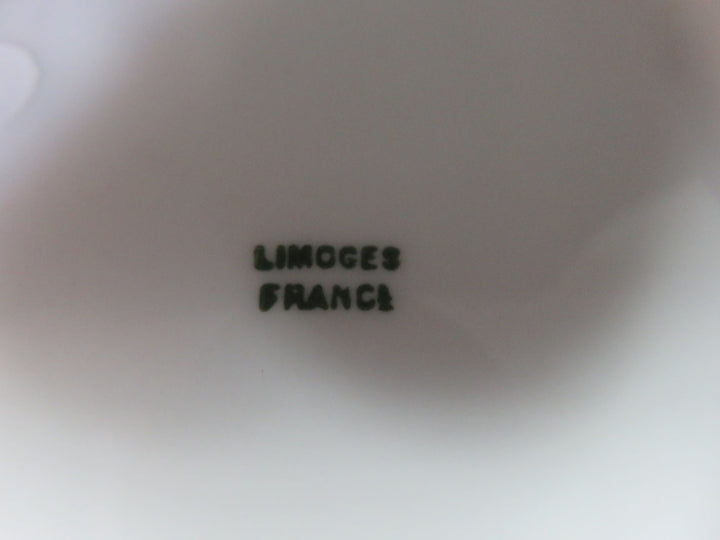 Hand Decorated Limoges Plate