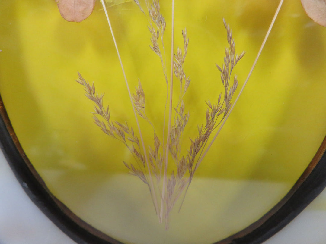 Suncatcher