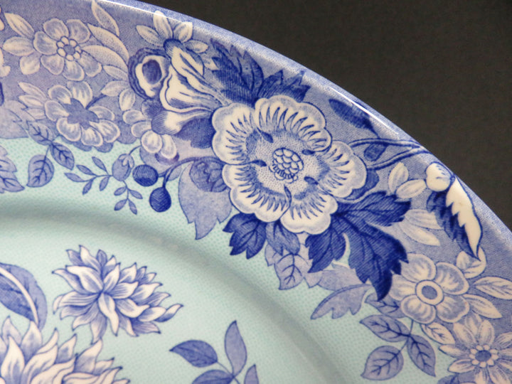 Spode Transferware Pasta Bowls