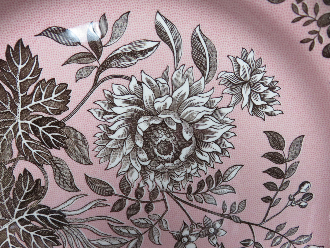 Spode Transferware Pasta Bowls