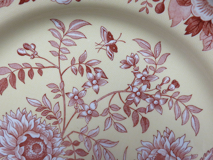 Spode Transferware Pasta Bowls
