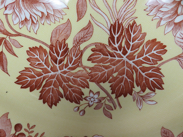 Spode Transferware Pasta Bowls