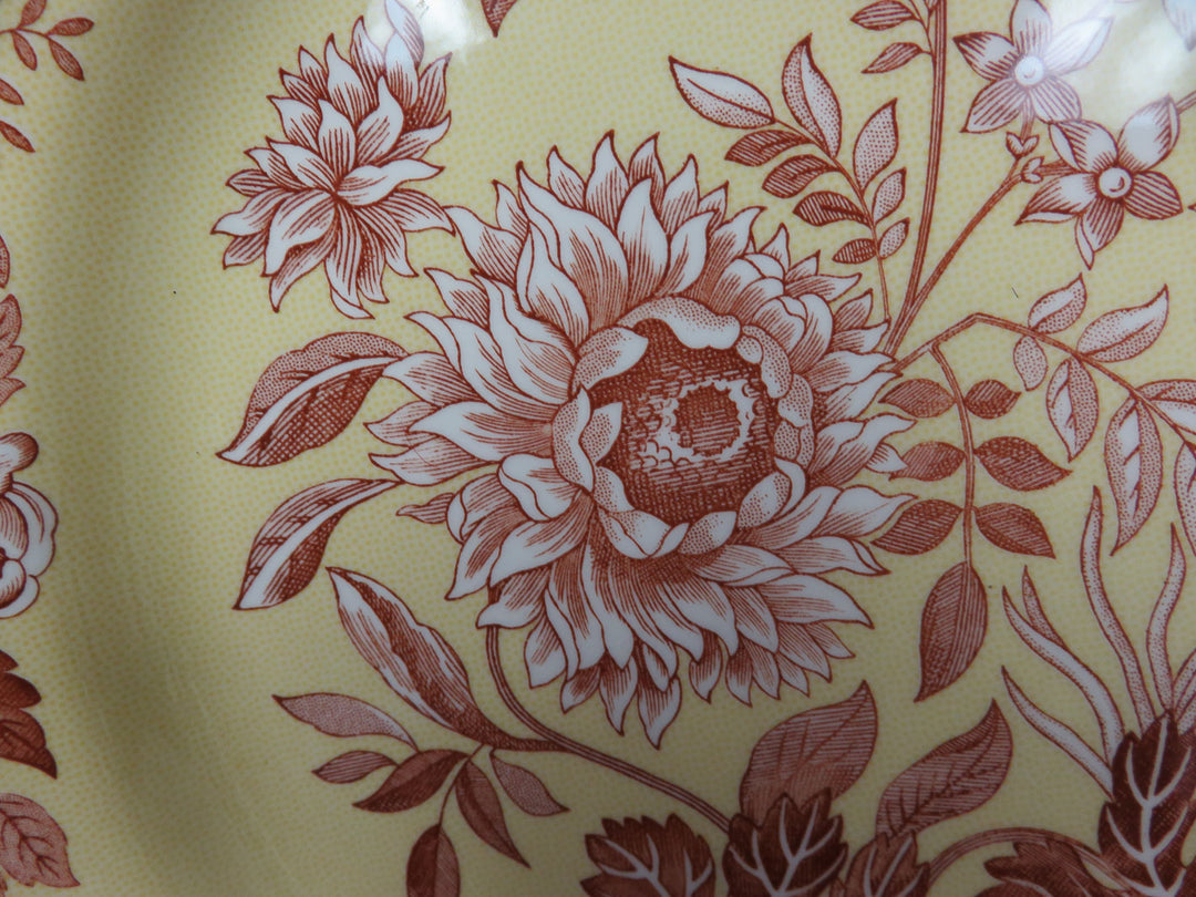 Spode Transferware Pasta Bowls