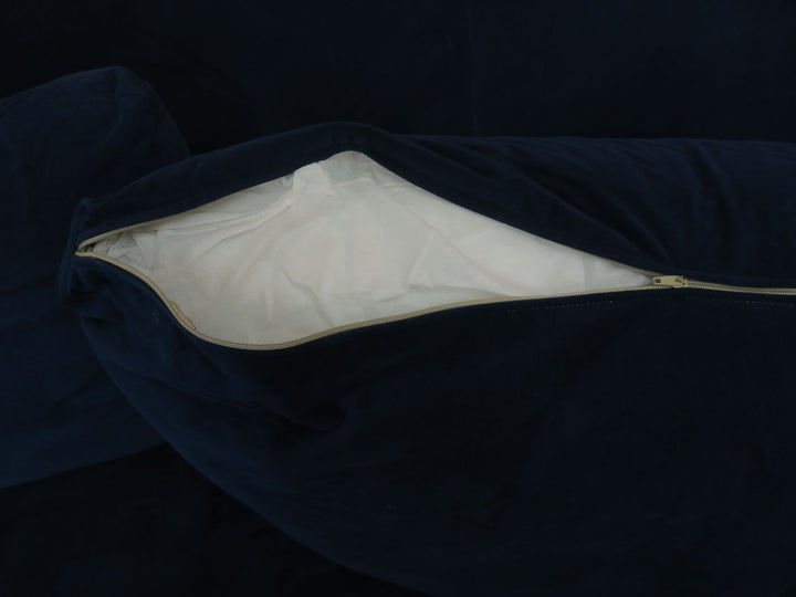 Pottery Barn Carlisle Sofa