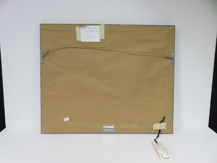 Hass Print in Rustic Frame