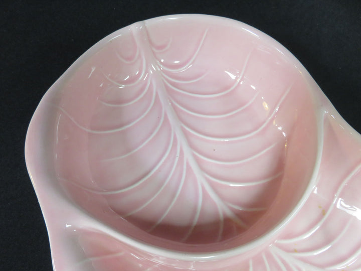 Valley Vista Divided Dish