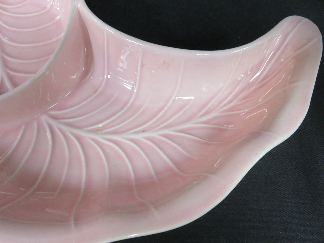 Valley Vista Divided Dish