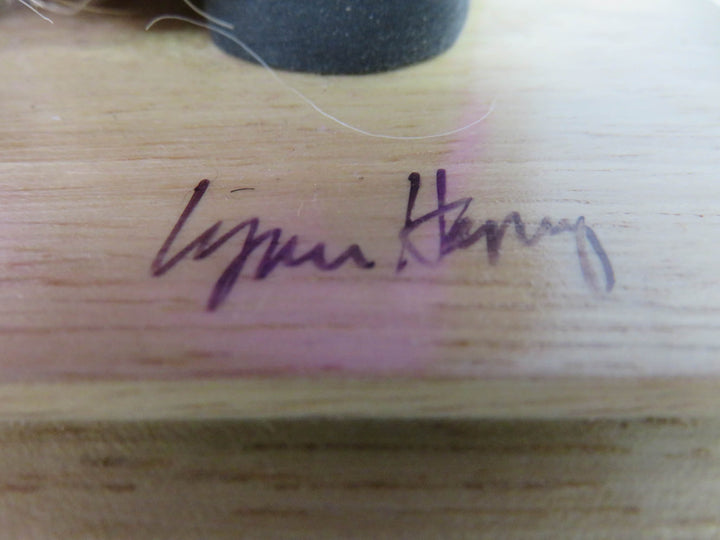 Lynn Haney Witch