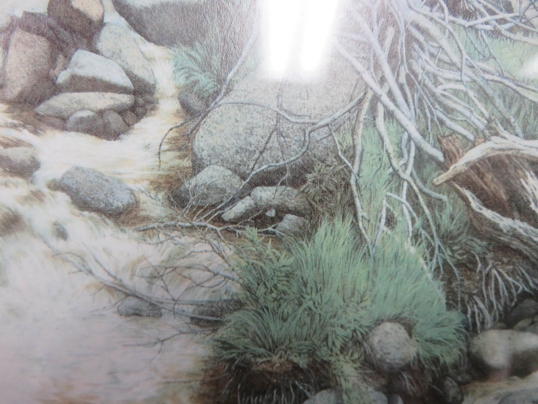 Hidden Faces Print