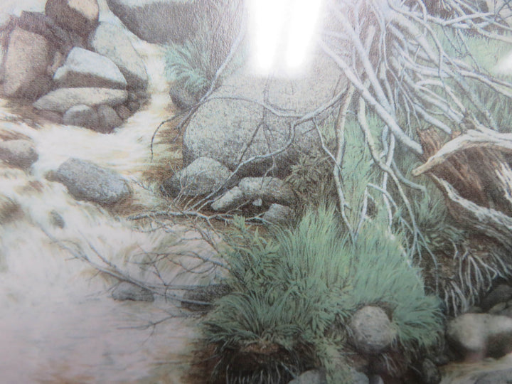 Hidden Faces Print
