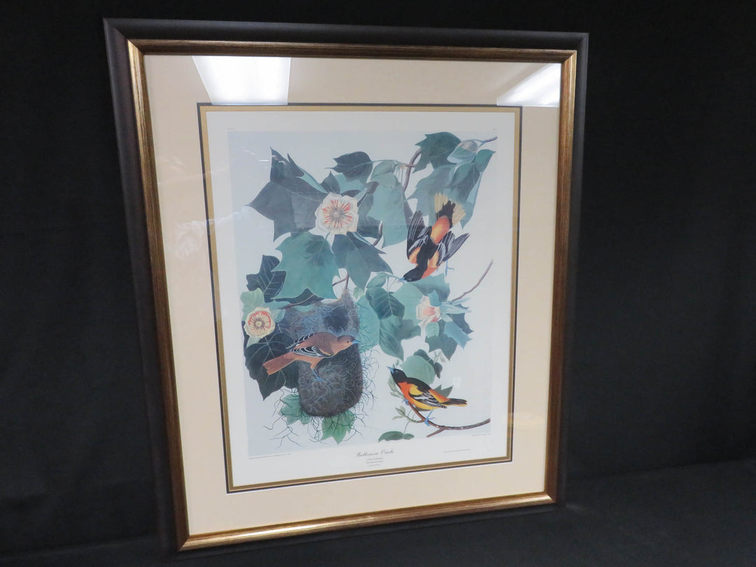 Audubon Print