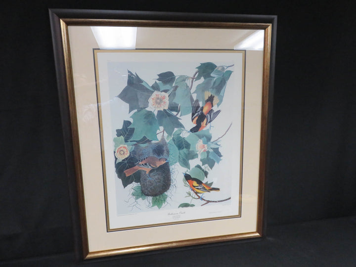 Audubon Print