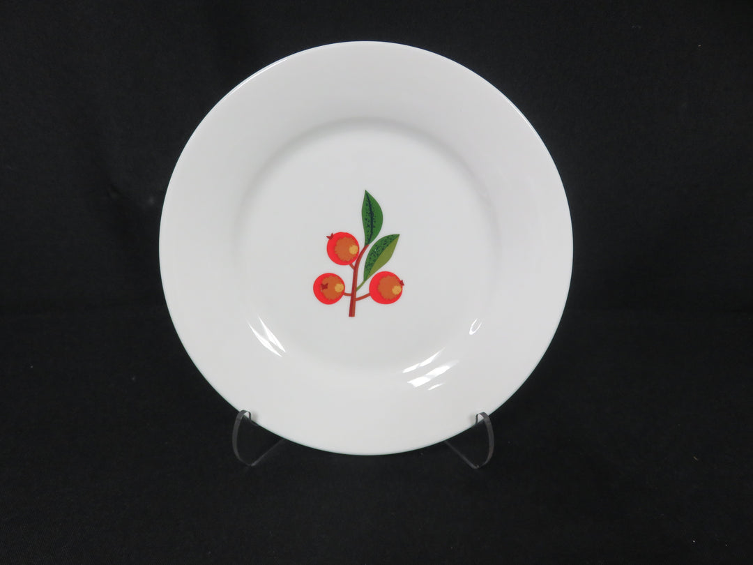 Crate & Barrel Salad/Dessert Plates