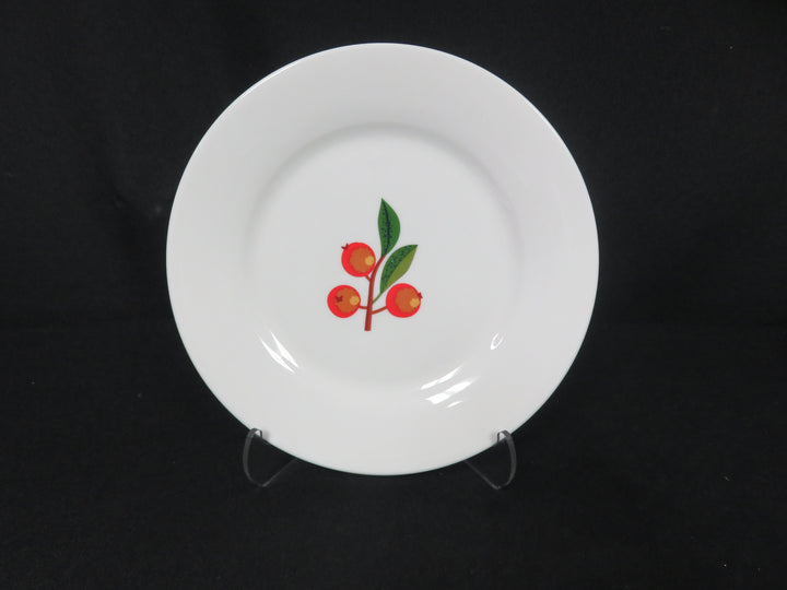 Crate & Barrel Salad/Dessert Plates