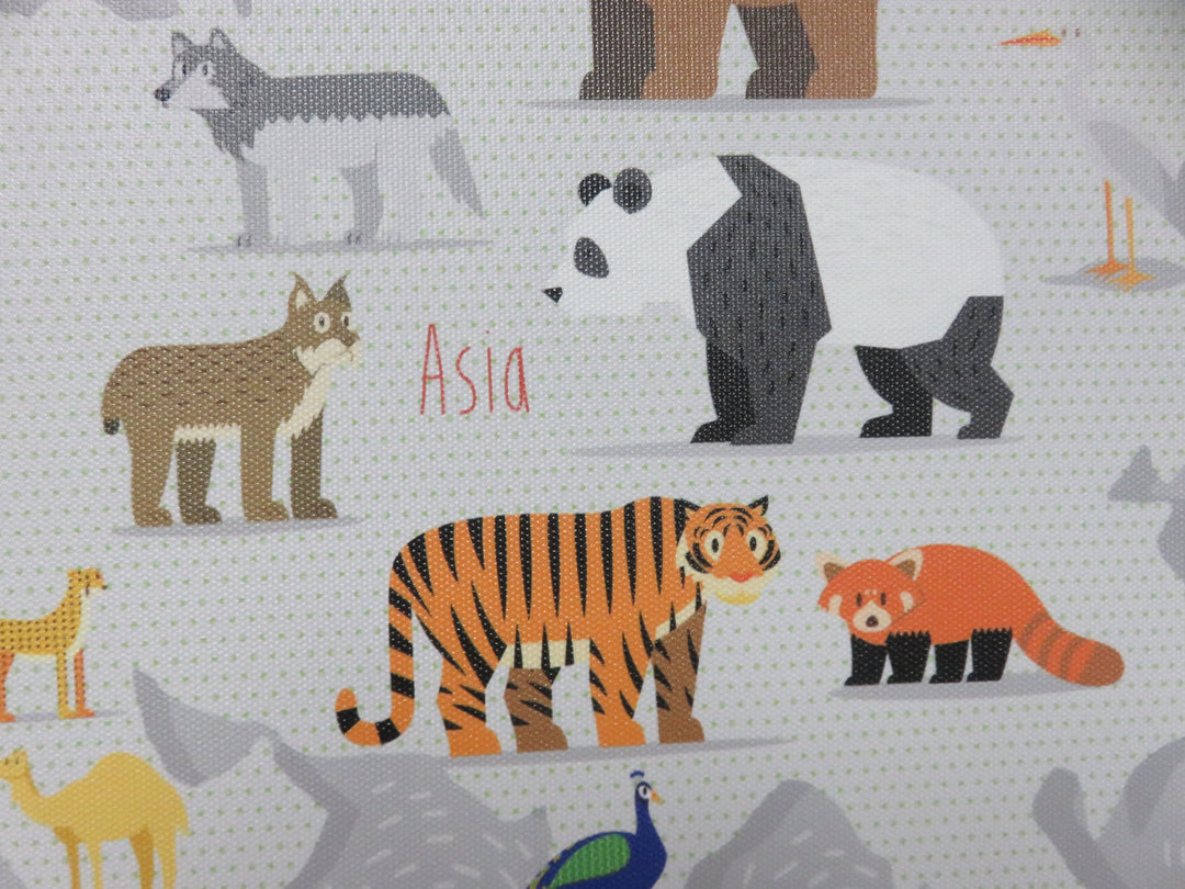 Animals of the World Print