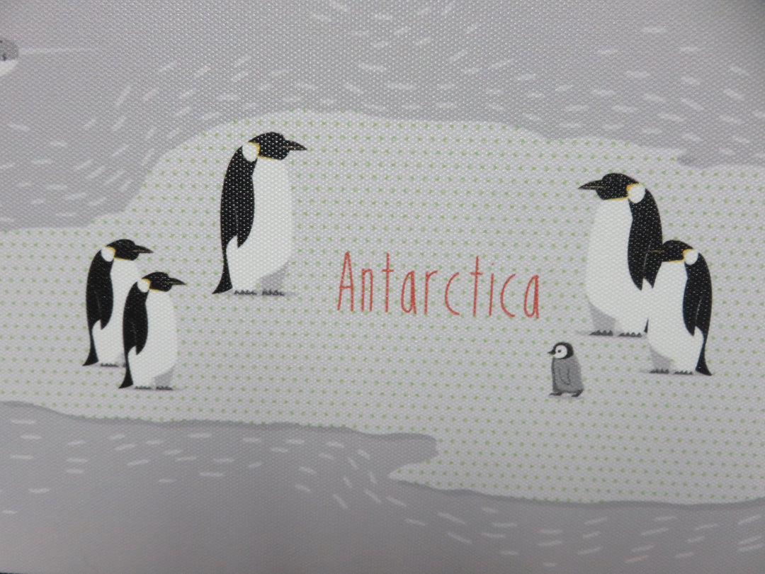 Animals of the World Print