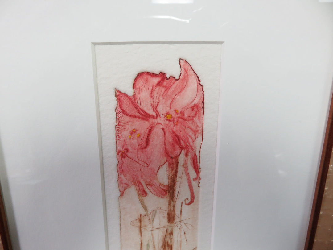 "Sanguine Amaryllis" Hand Colored Etching