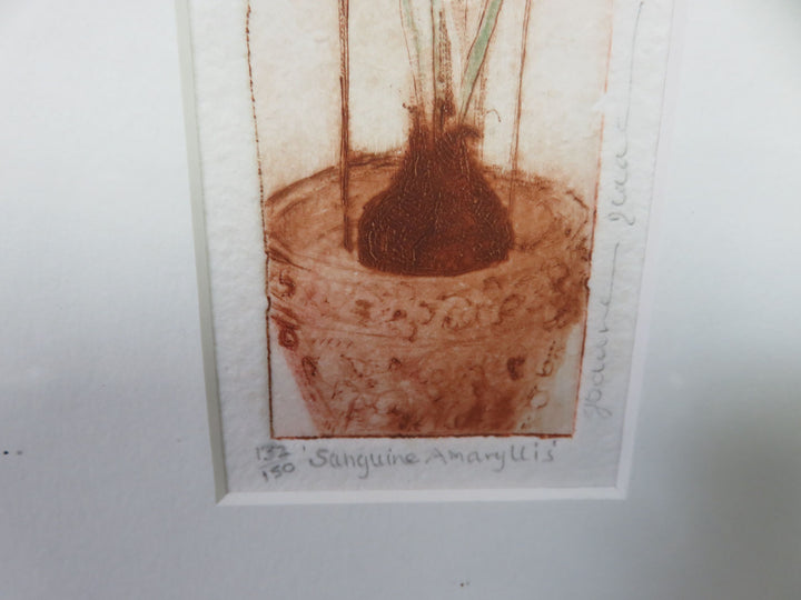 "Sanguine Amaryllis" Hand Colored Etching