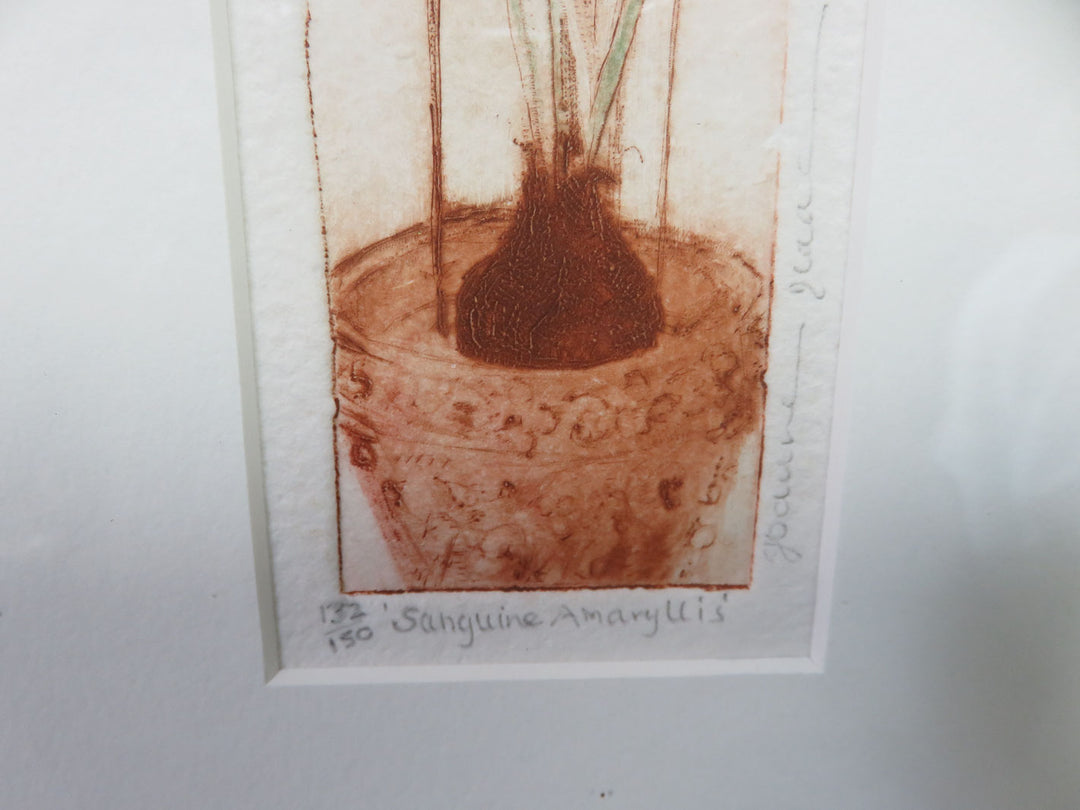 "Sanguine Amaryllis" Hand Colored Etching