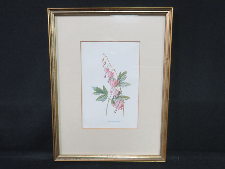 Botanical Print