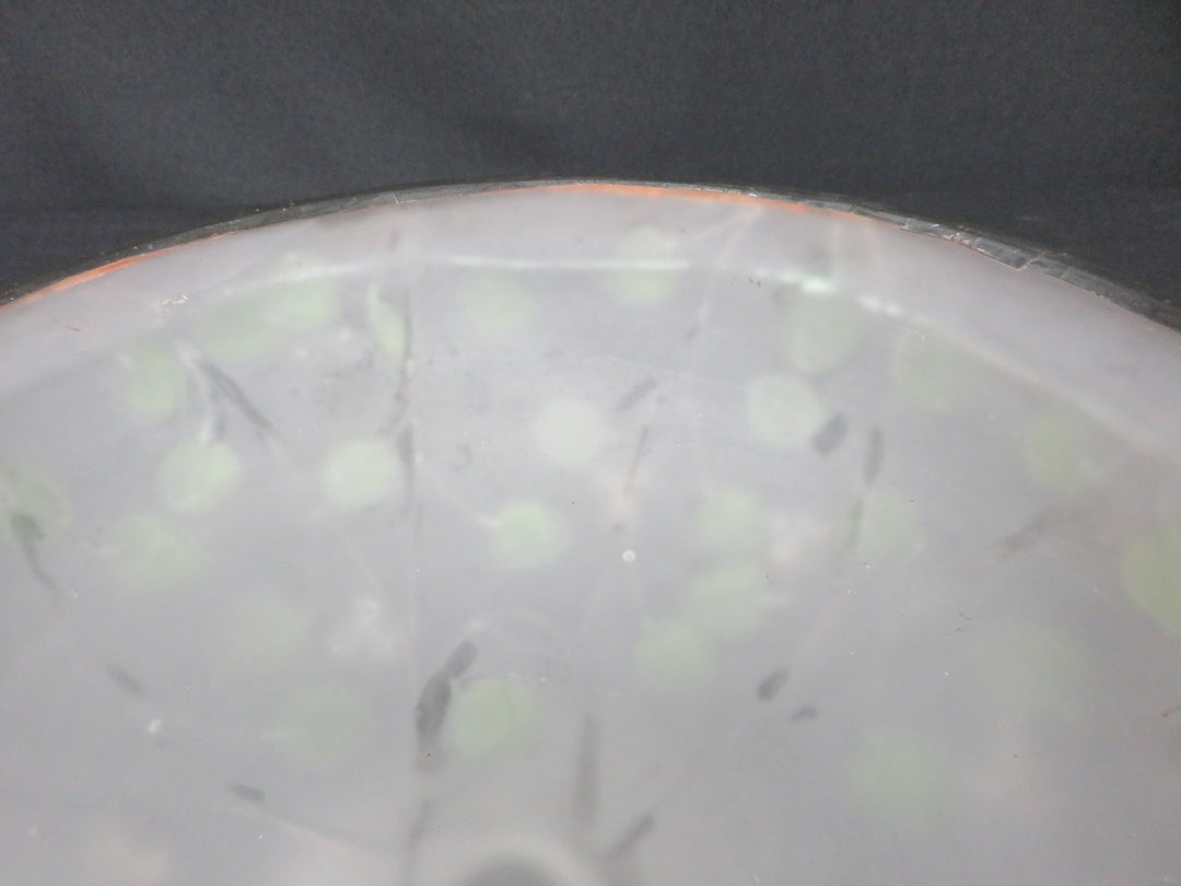 Frosted Glass Bowl