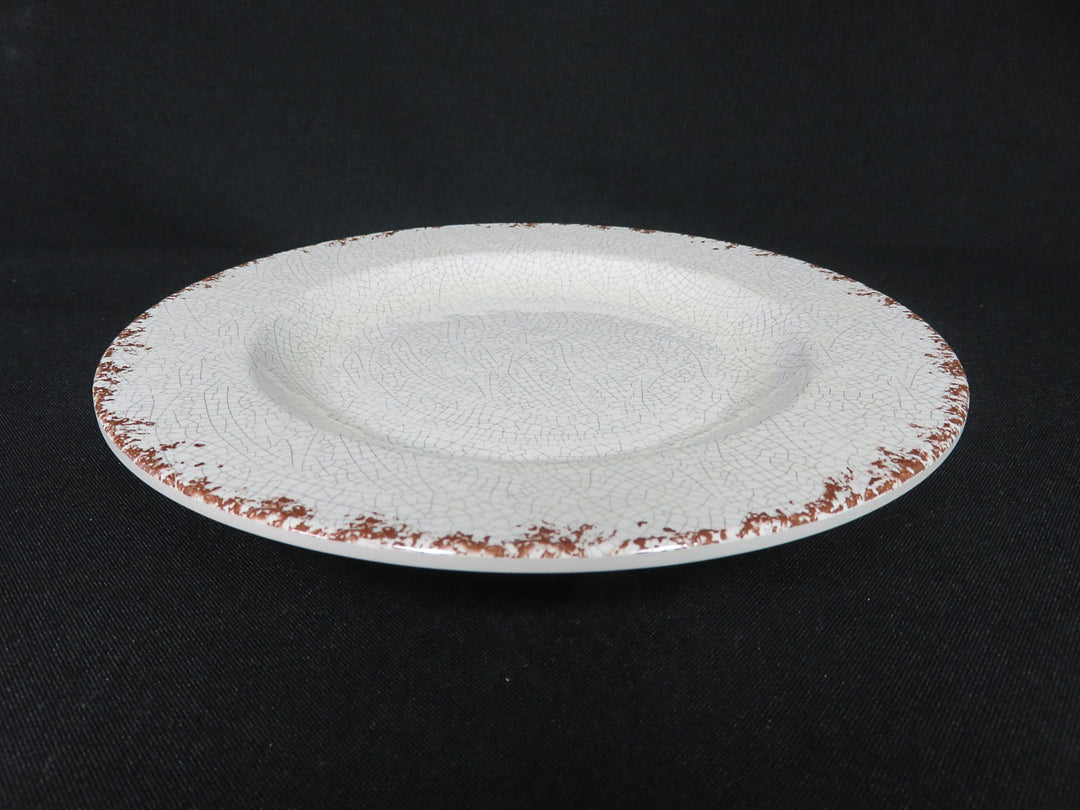 Williams Sonoma Outdoor Dishes