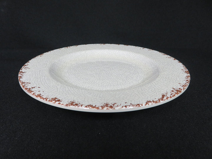 Williams Sonoma Outdoor Dishes