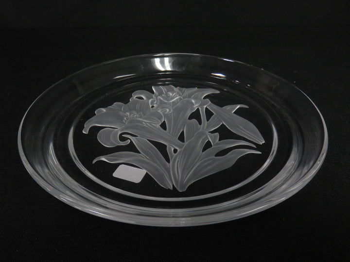Hoya Lilly of The Valley Plate