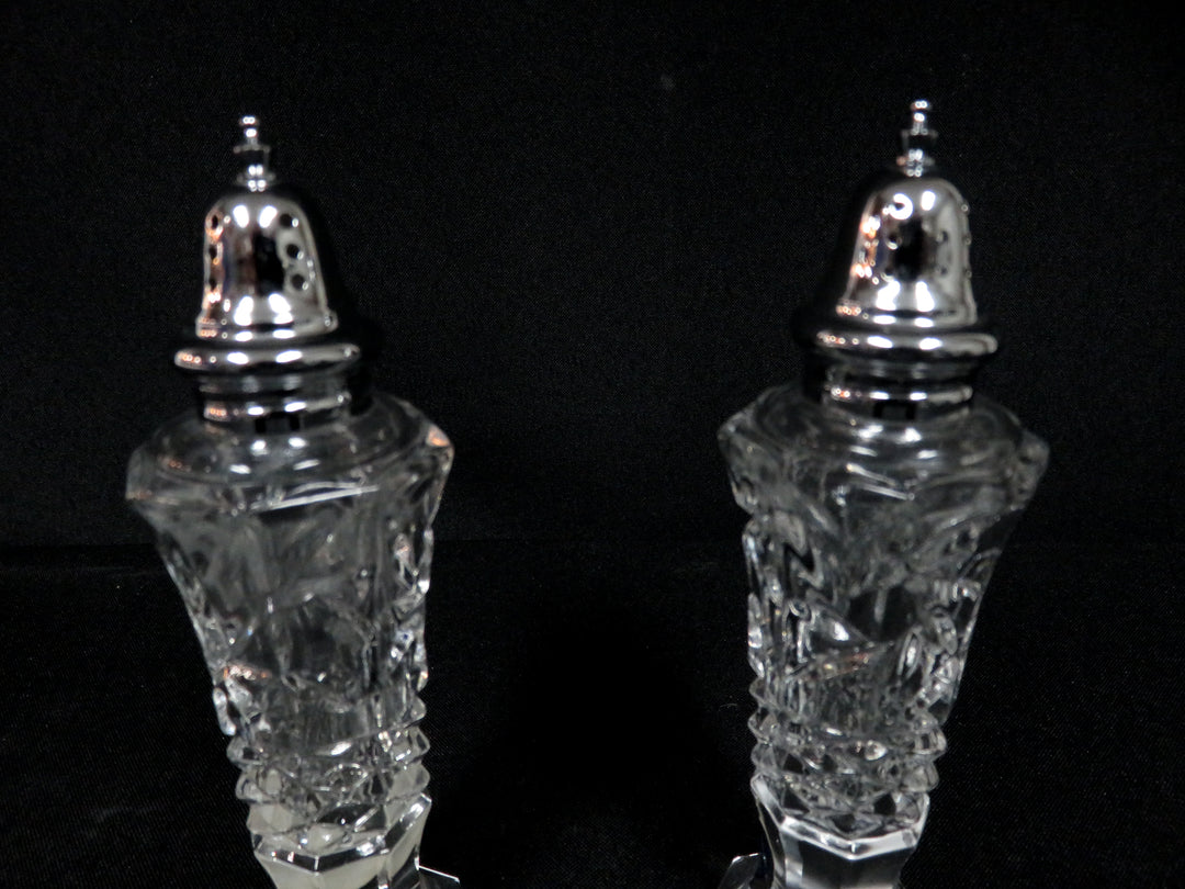 Salt and Pepper Shaker Set