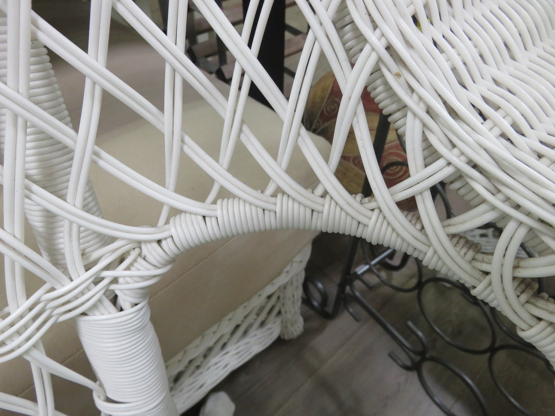 Resin Wicker Porch Love Seat