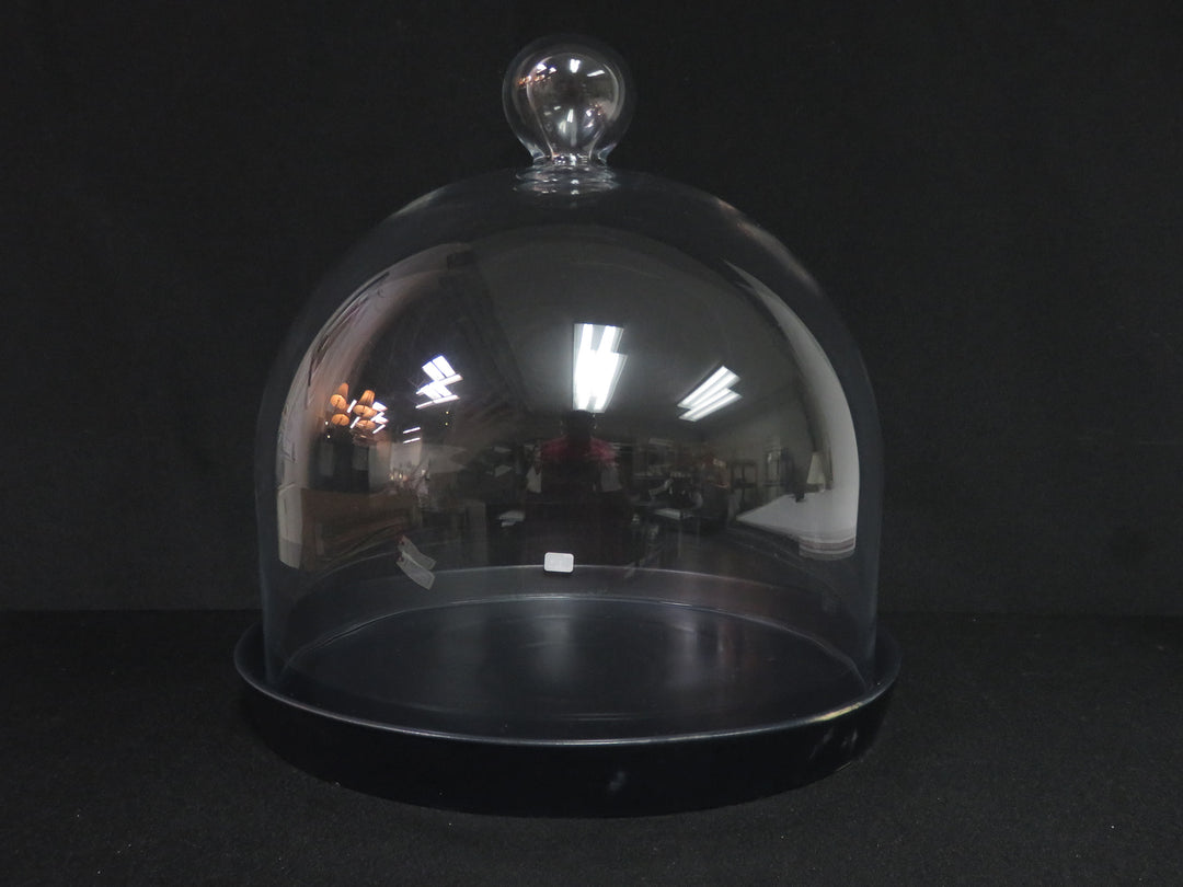 Crate & Barrel Domed Cloche Server