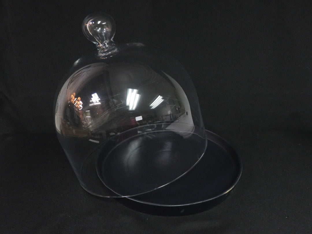 Crate & Barrel Domed Cloche Server