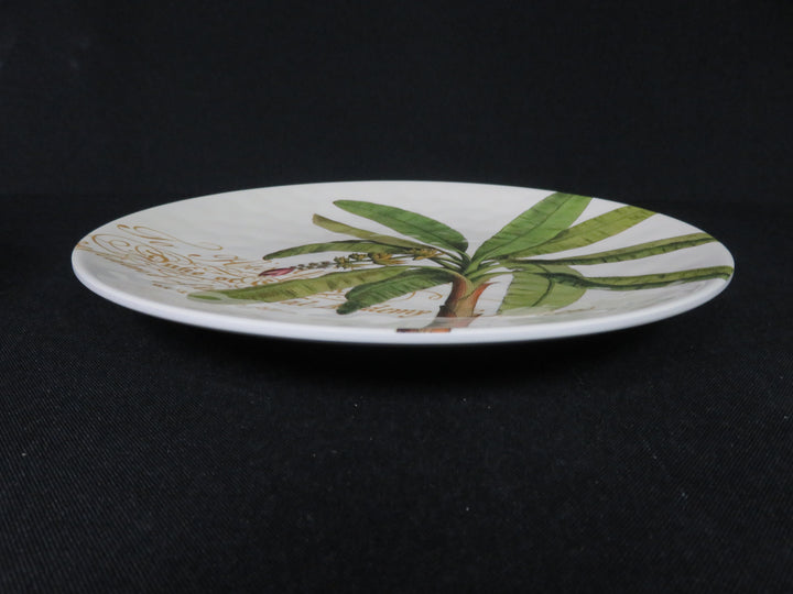 Melamine Snack Plates