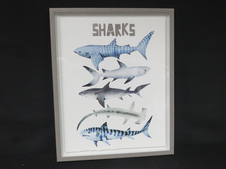 Shark Giclee Print