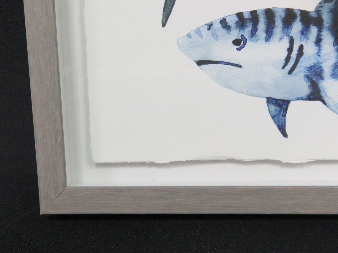 Shark Giclee Print