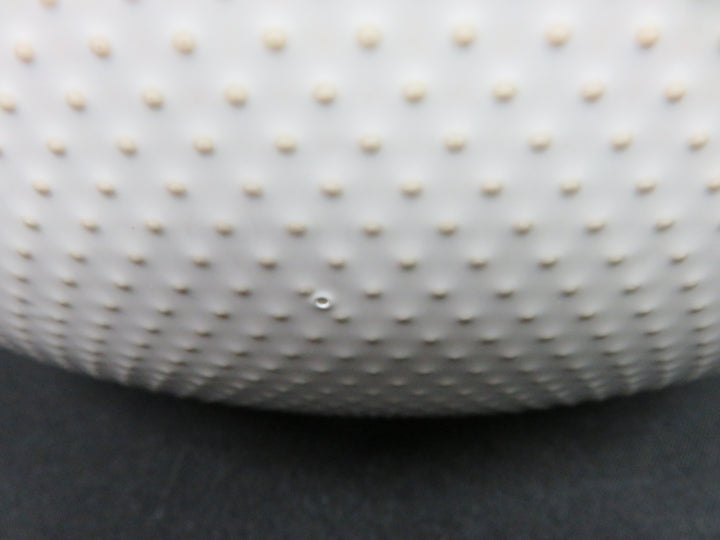 West Elm Large Bowl