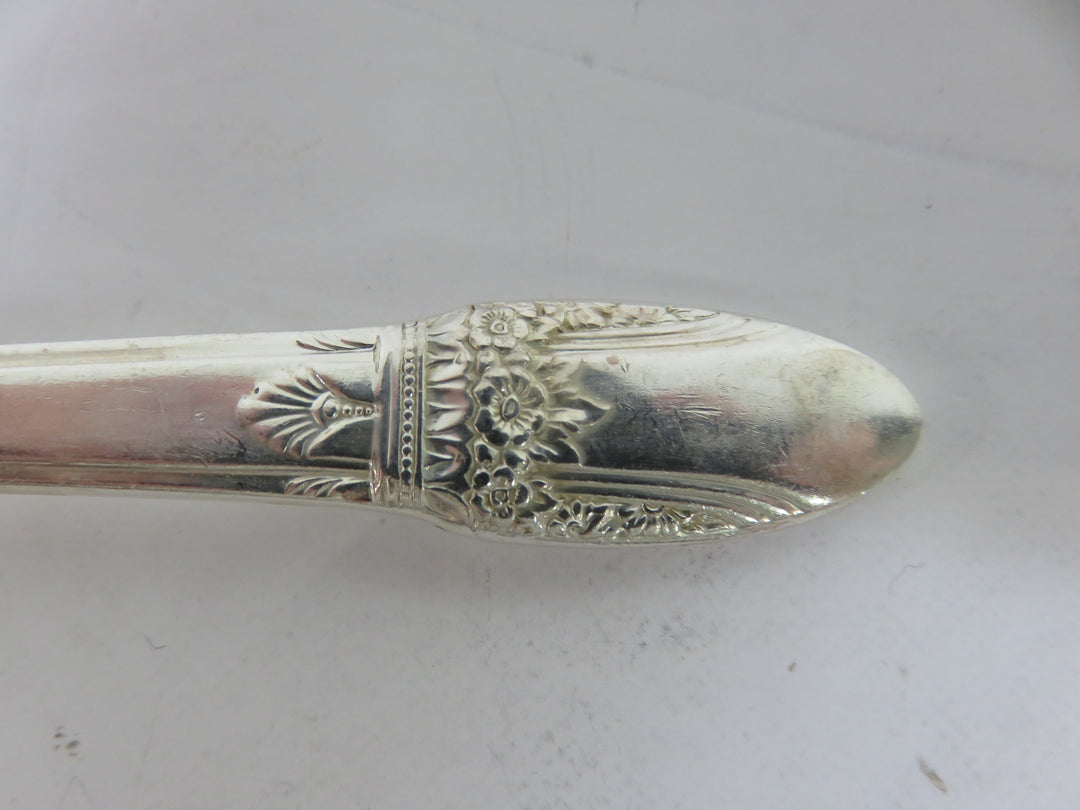 Rogers Brothers Ice Tea Spoons