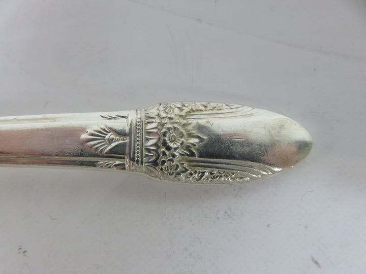 Rogers Brothers Ice Tea Spoons