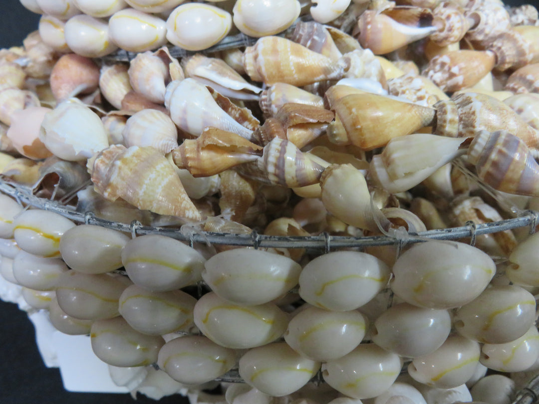 Vintage Shell Hanging Decor