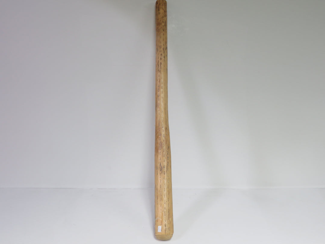 Cactus Rain Stick