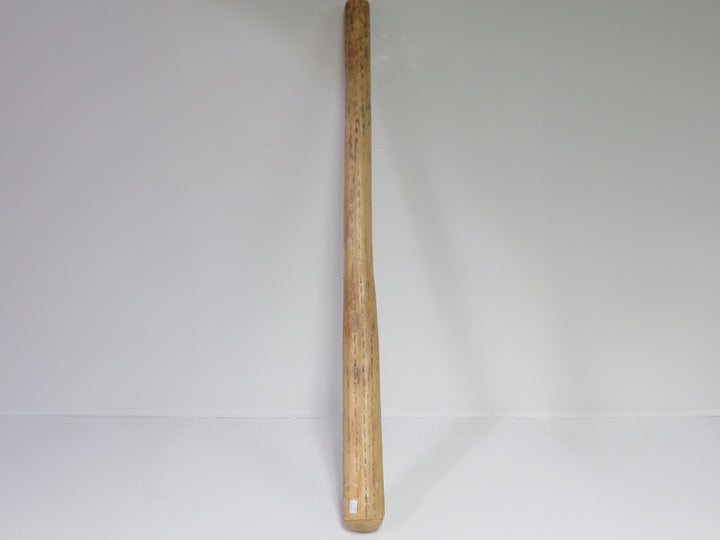 Cactus Rain Stick