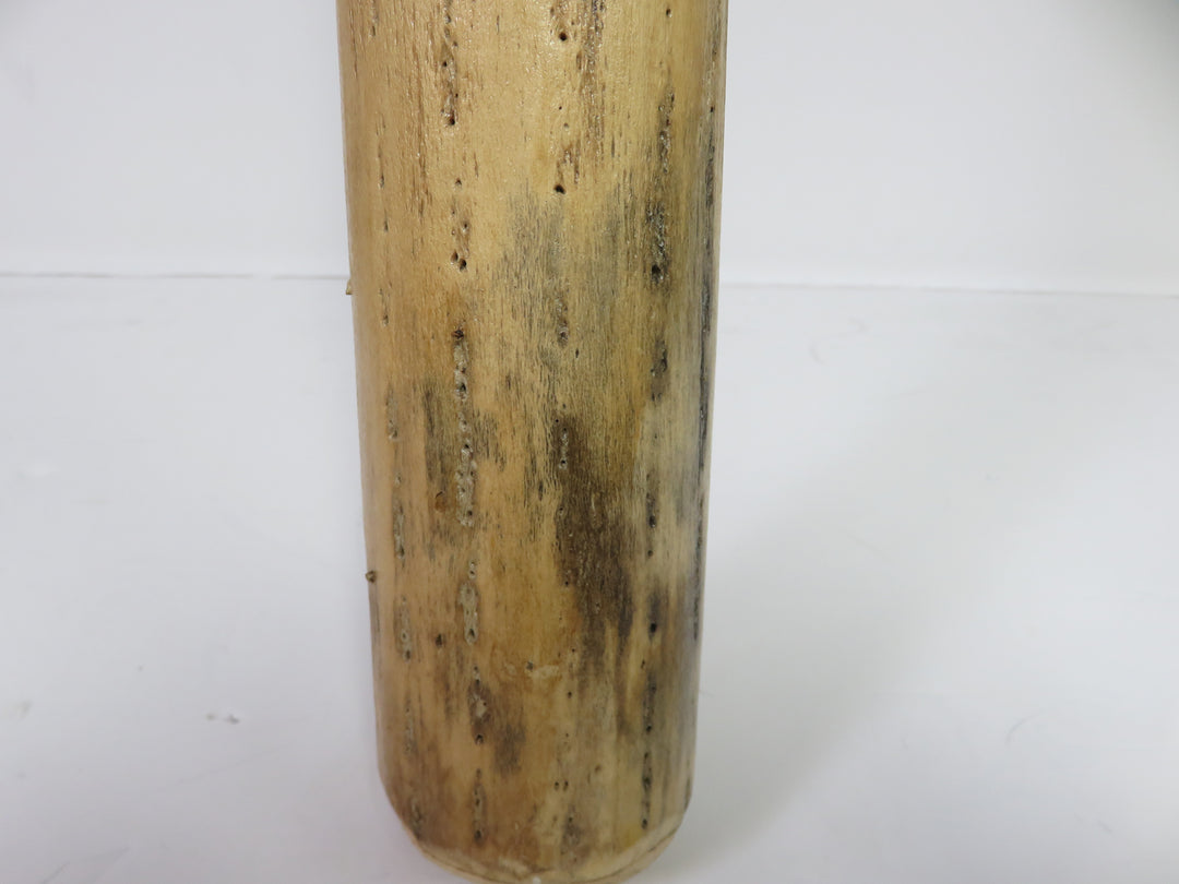 Cactus Rain Stick