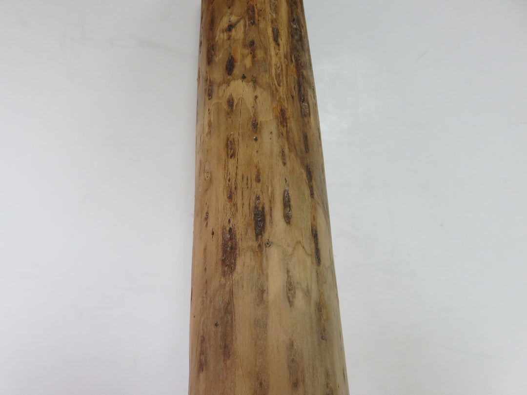 Cactus Rain Stick