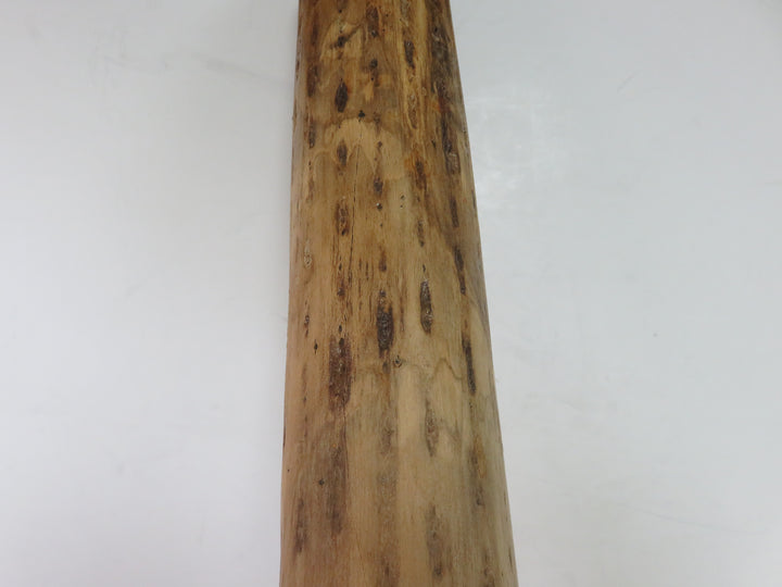 Cactus Rain Stick